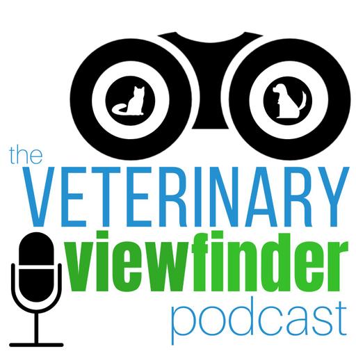 Mentorship in Vet Med: How MentorVet is Transforming Careers