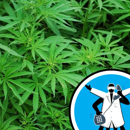 Do edibles hit you harder than smoking a joint?