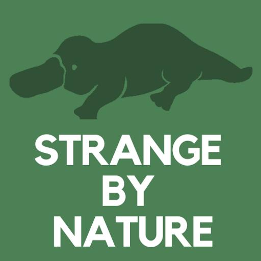 The Walking Fish that Climbs Trees!