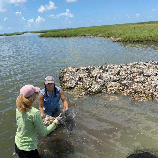 Coastal Preservation - EP 226