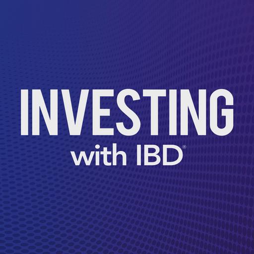 Ep. 312 Use These Professional Grade Defensive Strategies To Navigate Market Jitters