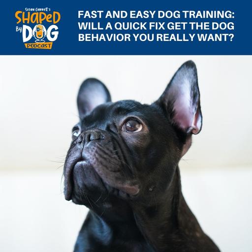 Fast And Easy Dog Training: Will A Quick Fix Get The Dog Behavior You Really Want? #299