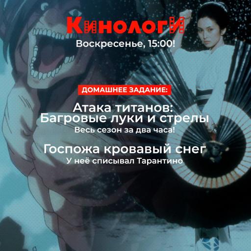 Кинологи 20250323. Госпожа кровавый снег атакует титанов