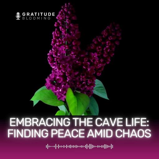 Embracing the Cave Life: Finding Peace Amid Chaos