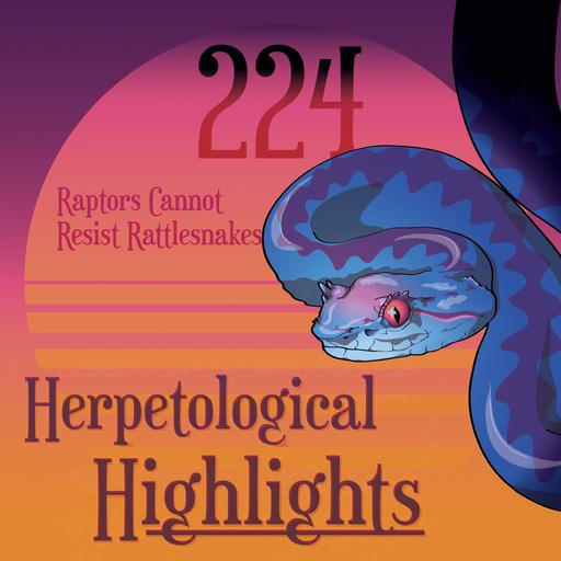 224 Raptors Cannot Resist Rattlesnakes