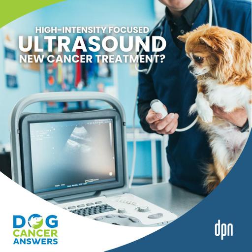 New Dog Cancer Treatment? Ultrasound Cancer Treatment in Dogs Trial | Dr. Joanne Tuohy #279