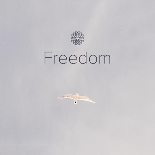Episode 4.24 | Freedom
