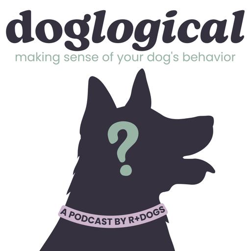 Myths about Positive Reinforcement