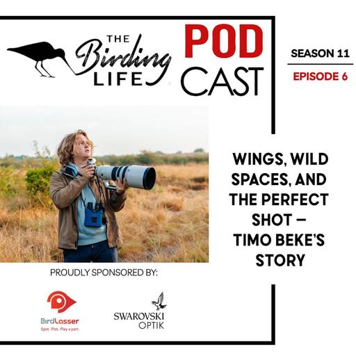 TBL Podcast Season 11 Episode 6 - Wings, Wild Spaces, and the Perfect Shot – Timo Beke’s Story