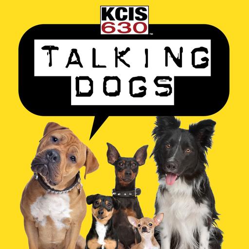 3/25/25 - How to Socialize a Puppy