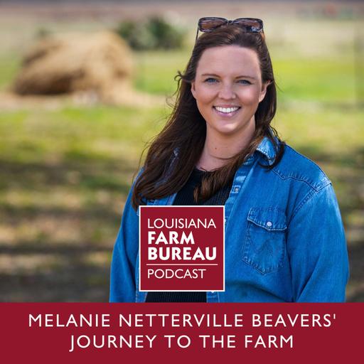 Melanie Netterville Beavers' Journey to the Farm
