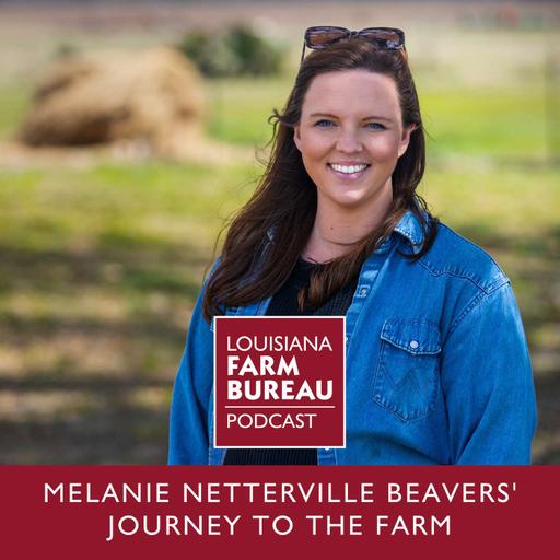 Melanie Netterville Beavers' Journey to the Farm