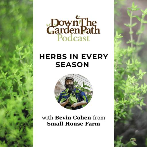 Herbs in Every Season with Bevin Cohen