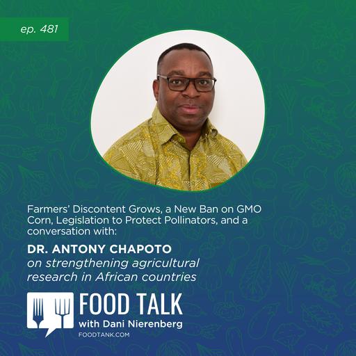 481. Farmers’ Discontent Grows, a New Ban on GMO Corn, Legislation to Protect Pollinators, and a conversation with Dr. Antony Chapoto on Strengthening Agricultural Research in African Countries
