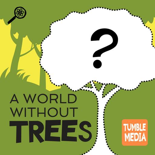 What If Trees Didn't Exist?