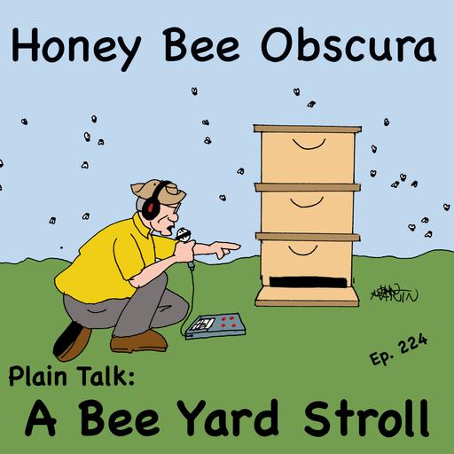 Plain Talk: A Bee Yard Stroll (224)