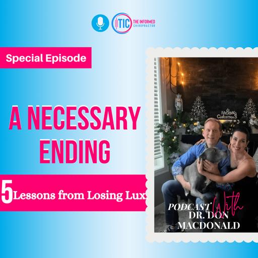 A NECESSARY ENDING || 5 lessons from losing Lux.