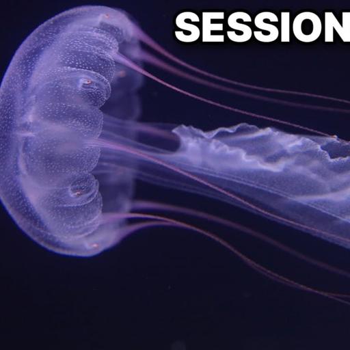 Intro To Jellyfish Care With Travis Brandwood | #129