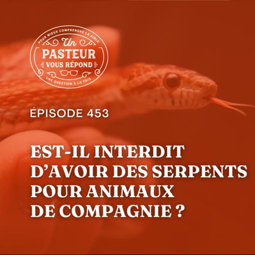 Est-il interdit d’avoir des serpents pour animaux de compagnie? (Épisode 453)