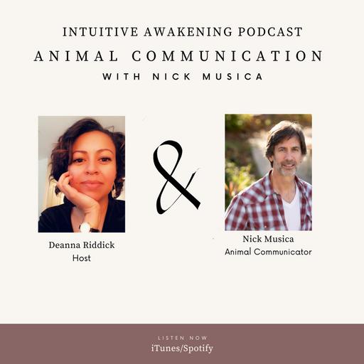 182: Animal Communication with Nick Musica