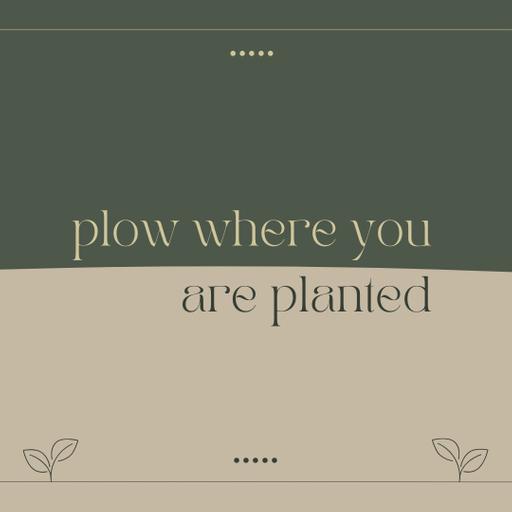 Plow Where You Are Planted