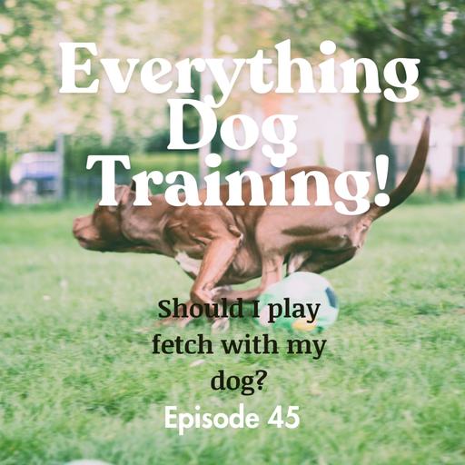 Episode 45 - should my dog play fetch?