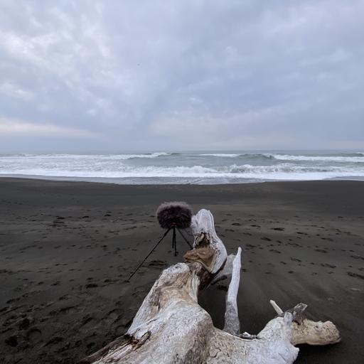 170: Lost Coast- Spring Evening At Mattole Beach