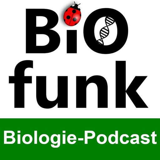 BiOfunk (75): Metamorphose - Von der Raupe zum Schmetterling