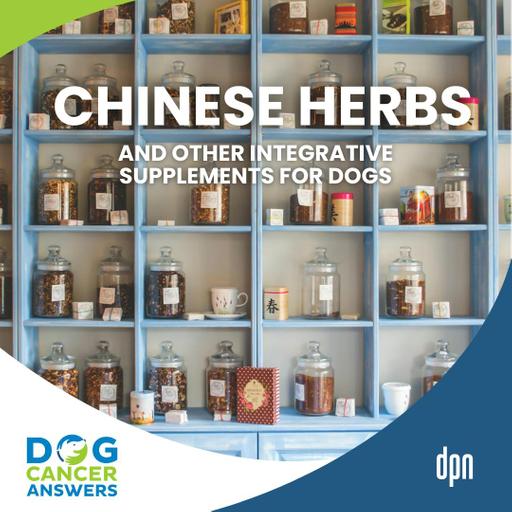 Chinese Herbs & More: Integrative Vet Gives Supplement Advice | Dr. Jessica Tartof #280