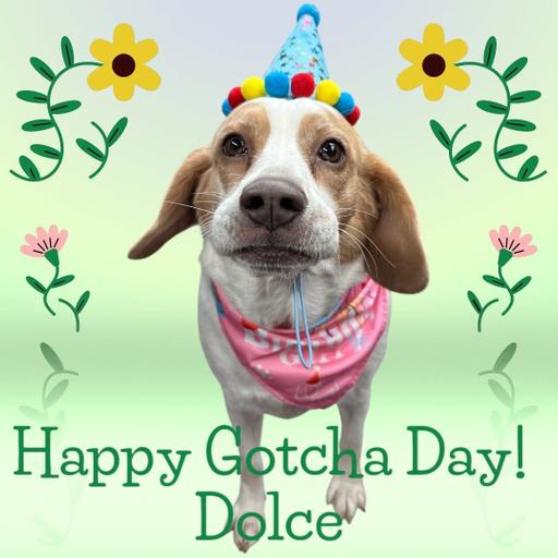 Fdip387 - Living Without Magic