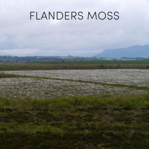 Flanders Moss | Month of April 2025