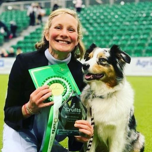 Australian Shepherds Across the Pond- High level working dogs with Kat Farrants