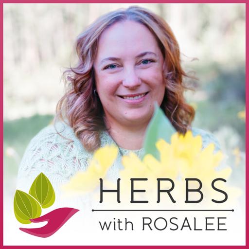 Yarrow with Dr. Jacqui Wilkins + Heart + Boundaries Oxymel