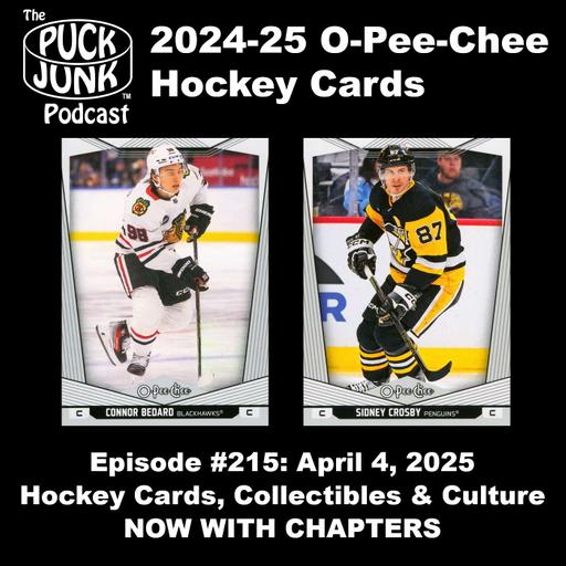 2024-25 O-Pee-Chee Hockey Cards