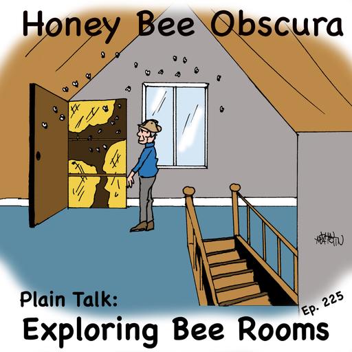 Plain Talk: Exploring Bee Rooms (225)