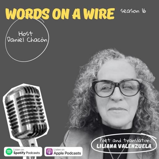 Episode 36: A conversation with Liliana Valenzuela
