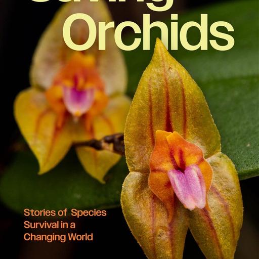 Ep. 520 - Saving Orchids!