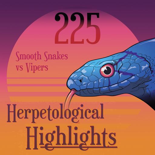 225 Smooth Snakes vs Vipers