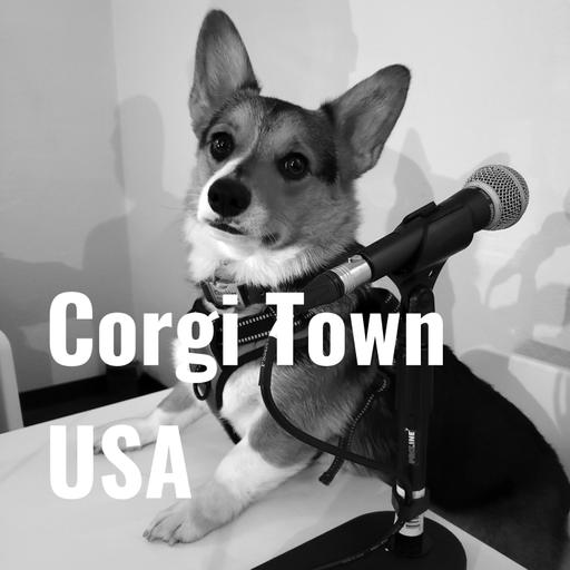 Corgi Beach Day: The Evolution