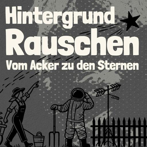 Hintergrundrauschen - Schafherde auf einer Tiroler Alm