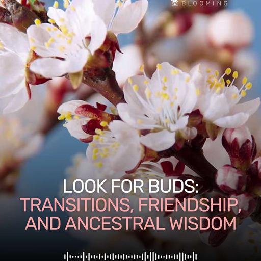 Look for buds: Transitions, Friendship, and Ancestral Wisdom