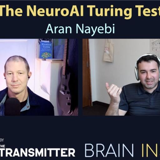 BI 209 Aran Nayebi: The NeuroAI Turing Test