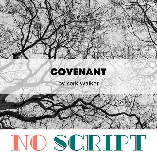 "Covenant" by York Walker | S14.E10