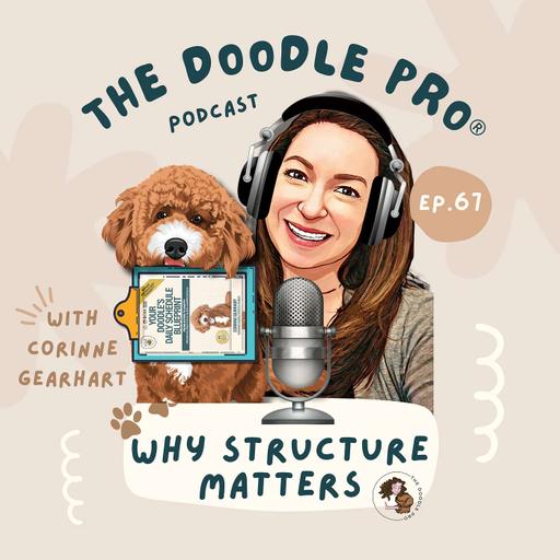 67: Why Structure Works for Doodles: The Secret to Calm, Connection, and Better Behavior