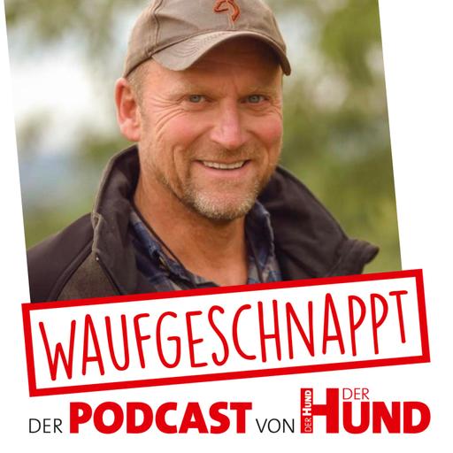 Hunde sicher führen - Jürgen Böttcher
