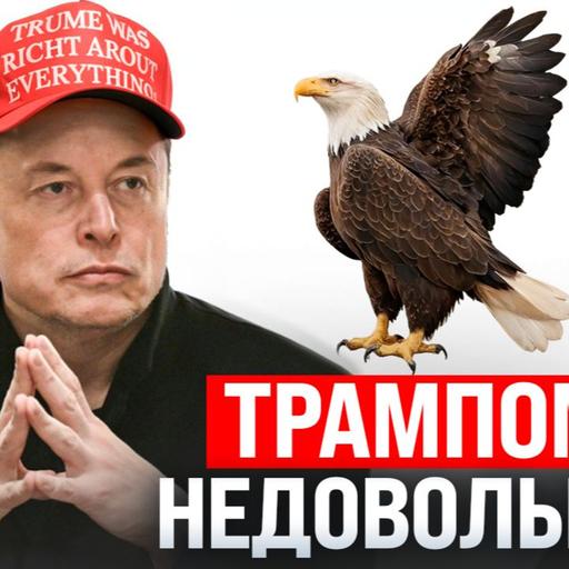 #209 - Все недовольны Трампом / Аяз Шабутдинов раскаялся / Евгений Онегин стал фурри