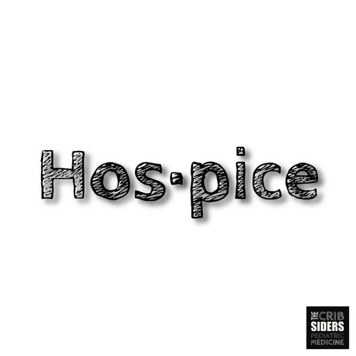 S6 Ep138: Hospice
