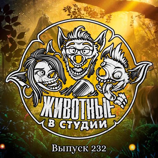 Выпуск 232. Белоснежка и два Свитча