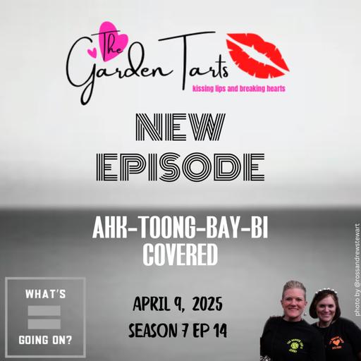 Ahk-Toong Bay-Bi Covered