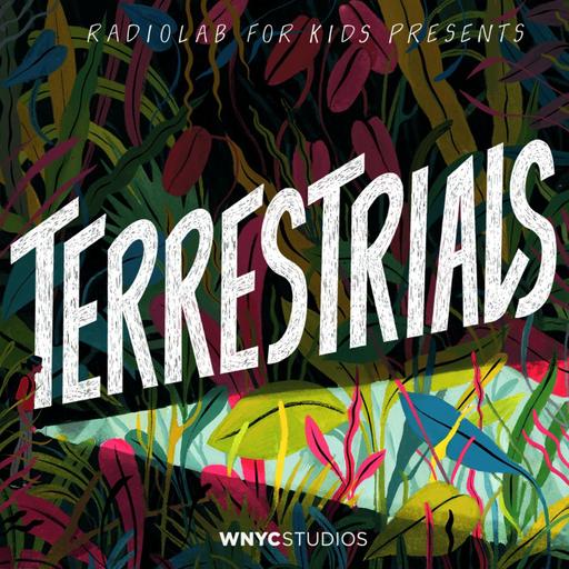 More Terrestrials Coming Soon!